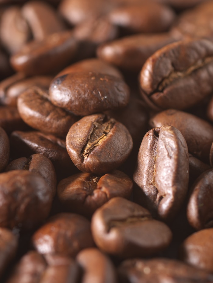 Automatic Espresso Machine